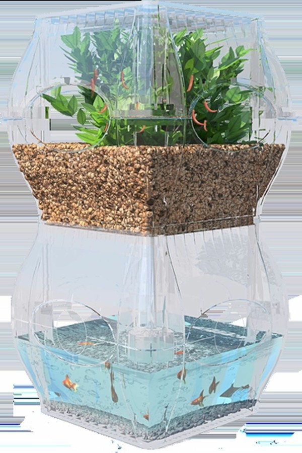 aquaponik mini system