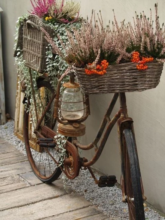 altes Fahrrad dekoriert mit Körben und Pflanzen 