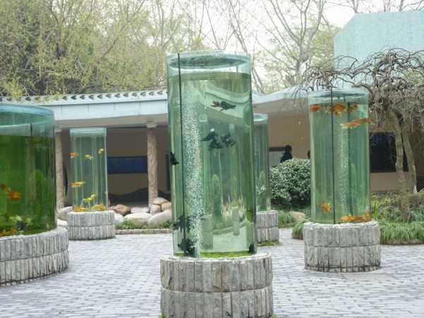 Aquaponik - Bedeutung, Funktionsweise und Vorteile