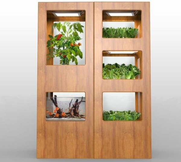 Aquaponik - Bedeutung, Funktionsweise und Vorteile