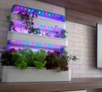 Hi-Tech Vertikaler Garten GrowChef – Grüne Pflanzen für jeden Tag!