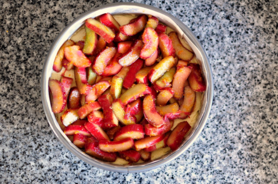 Rezepte mit Rhabarber Erdbeeren Frühlingsrezepte  Rhabarberkuchen mit Streusel
