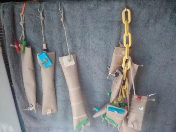 DIY Vogelspielzeug aus Klopapierrollen selber basteln zum Aufhängen