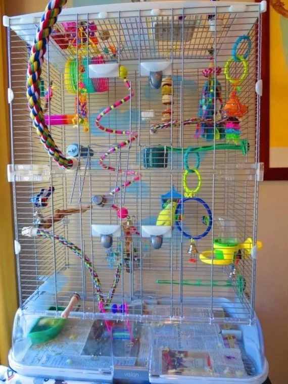 DIY Spielzeuge für Wellensittiche Zubehör im Käfig tollen Spielplatz für Vögel gestalten