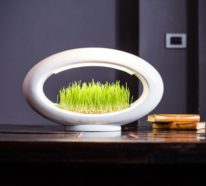 Grasslamp – Hi-Tech Designer-Lampe zum Pflanzen von Gemüse zu Hause