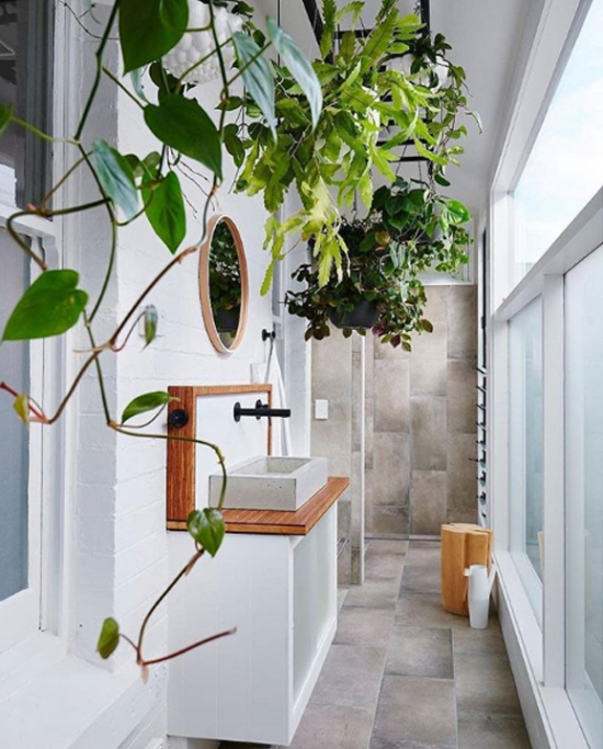 Pflanzen fürs Bad an der Wand gegenüber einem großen Fenster viel Tageslicht