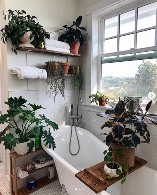 Pflanzen fürs Bad heller Raum viel Licht großes Fenster viele Pflanzen