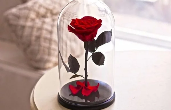 Rose im Glas auf einem Beistelltisch zieht alle Blicke an
