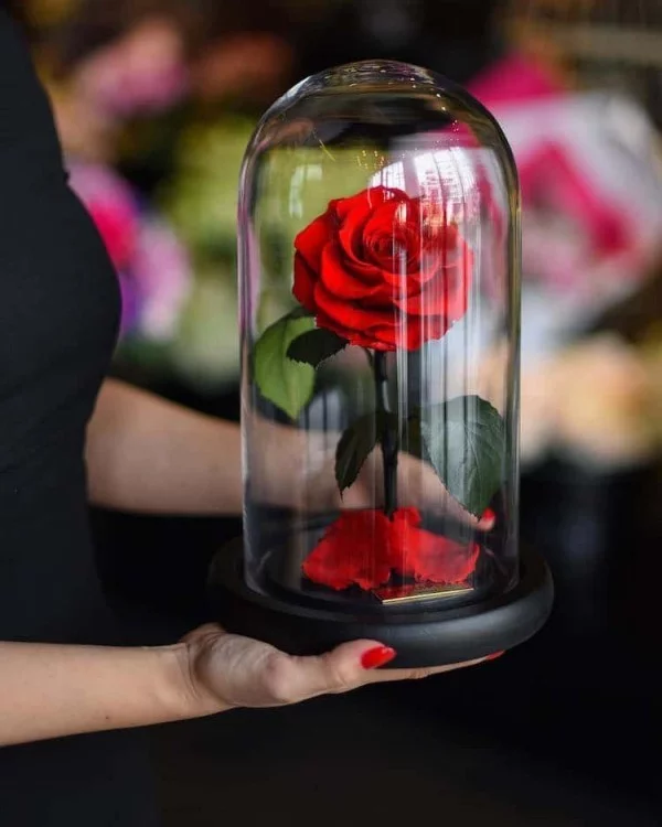 Rose im Glas das perfekte Geschenk viel Freude bereiten