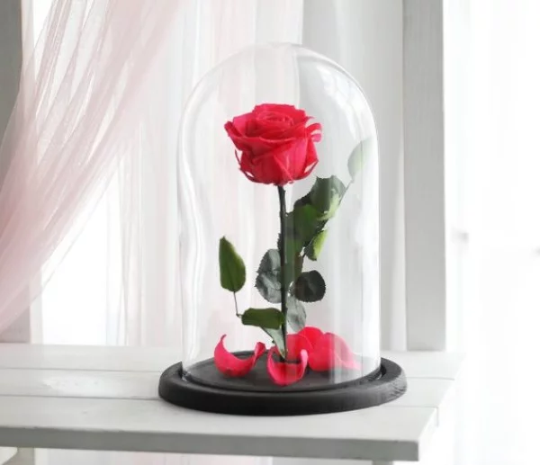 Rose im Glas der zarteste Blickfang im Raum