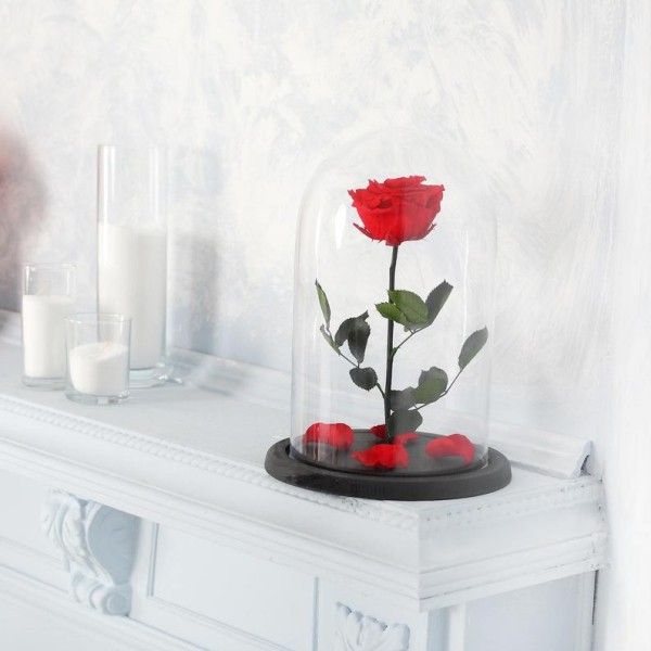 Rose im Glas rot vor weißem Hintergrund weiße Kerzen daneben
