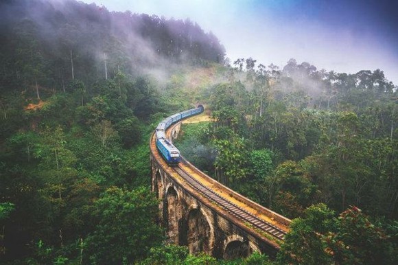 Sri Lanka Reisetipps Zugfahrt grüne Natur