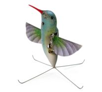 Aktuelles Projekt für Drohnen wird von den Eigenchaften des Kolibris inspiriert