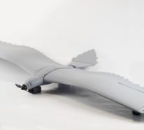 Drohnen fliegen nun länger, inspiriert von dem Flug der Vögel
