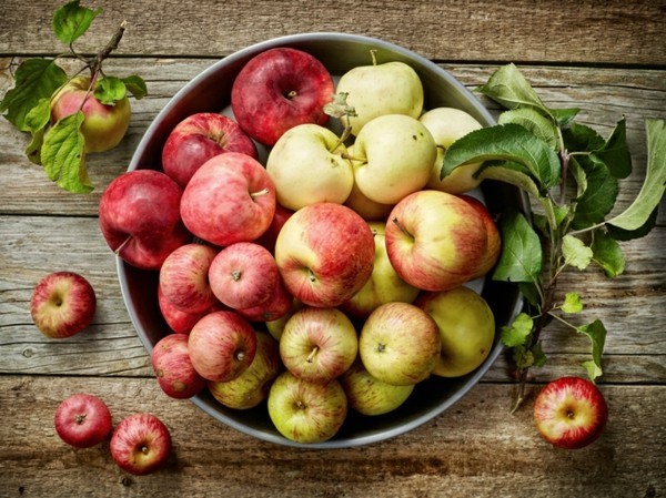 Apfelmus selber machen Äpfel aus dem eigenen Garten