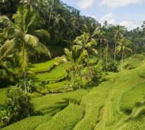 Bali Reisetipps für einen traumhaften Urlaub auf der indonesischen Insel