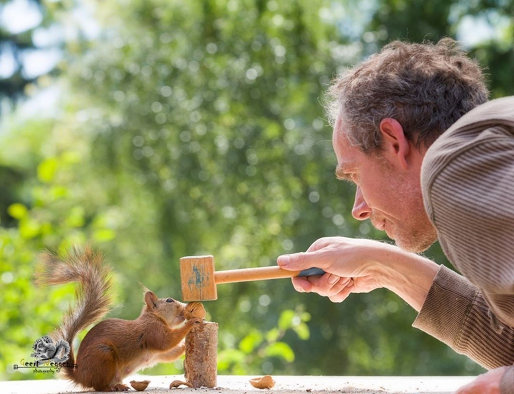 Eichhornchen Im Fokus Tolle Bilder Der Kleinen Nagetiere Fresh Ideen Fur Das Interieur Dekoration Und Landschaft