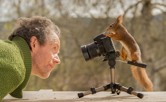 Eichhörnchen fotografieren Geert Weggen auf der anderen Seite der Kamera