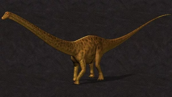 Einzigartiges Diplodocus Skelett mit Haut wird versteigert vermutetes aussehen des dino