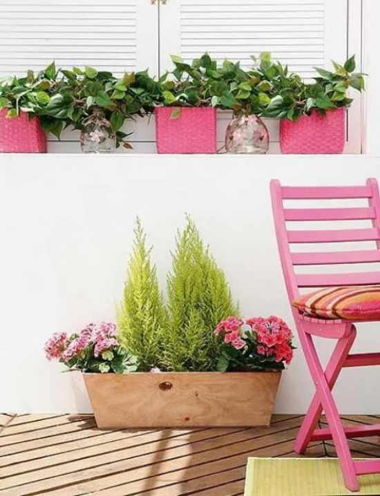 Sommerblumen Deko Ideen Primeln in Kästen schmücken Balkon Outdoor-Bereich