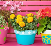 Sommerblumen Deko Ideen – clevere Tipps für farbenfrohen Blumenschmuck im Sommer