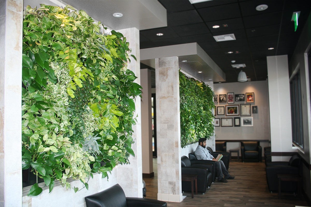 Wartezimmer mit grünen Pflanzen Grüne Wandgestaltung