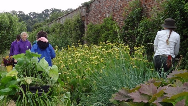 Gartengestaltungsideen: 7 Schritte, die Sie zum Profi-Niveau führen werden