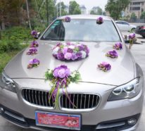 Hochzeit-Autoschmuck: Tipps und 40 inspirierende Ideen in verschiedenen Stilen