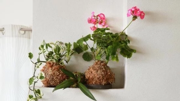 Kokedama selber machen japanische Gartenkunst kleine Ecken dekorieren