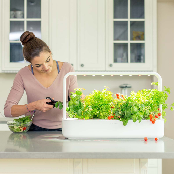 Kräuter zuhause anbauen pflegen frischen Gemüsesalat mit Küchenkräutern bestreuen