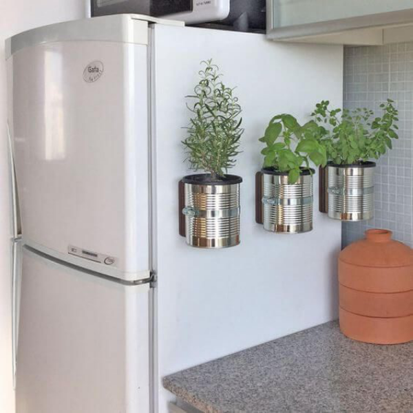 Kräuter zuhause anbauen pflegen in Metallbehältern am Kühlschrank fixiert