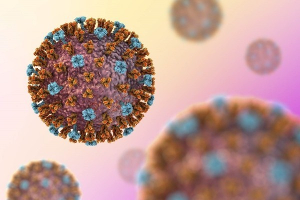 Künstliche Intelligenz hat zum ersten Mal einen Grippeimpfstoff entwickelt influenza virus