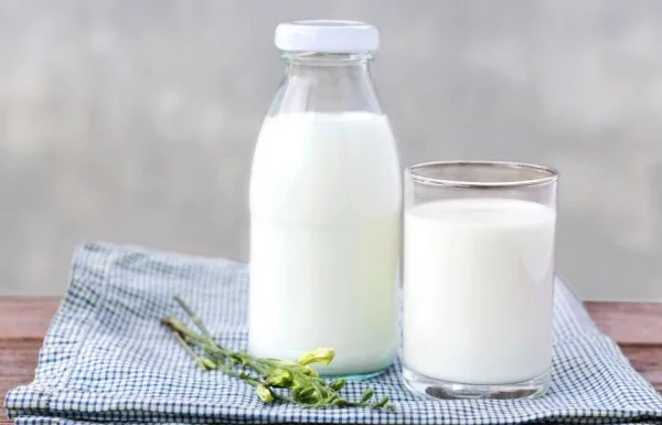 Magnesiumreiche Lebensmittel Milch Milchprodukte für einen gesunden Nachtschlaf