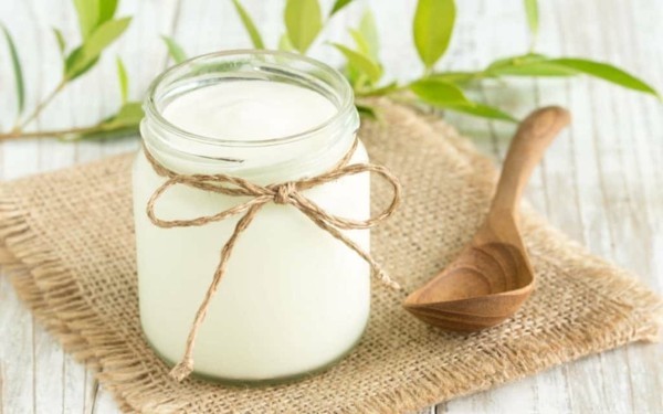 Probiotische Lebensmittel Bio Joghurt gesunde Darmflora