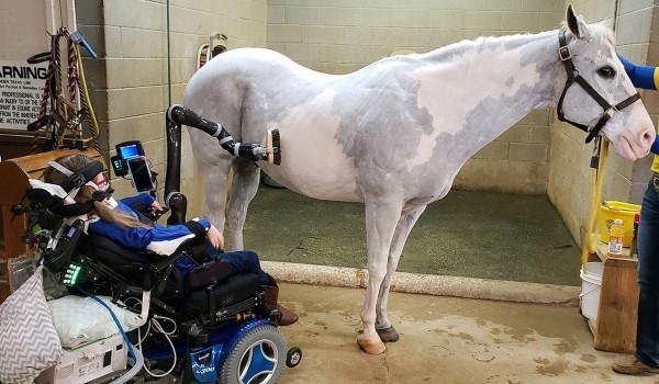 Roboterarm Jaco kann Rollstuhlfahrern bei alltäglichen Aufgaben helfen pflege haustier pferd mit arm
