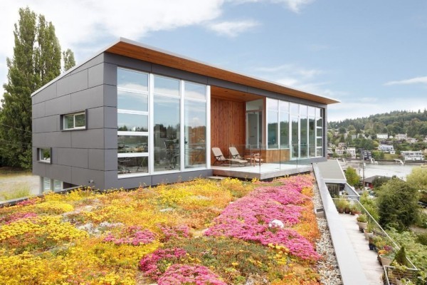Viele Blumen - Idee für moderne Häuser
