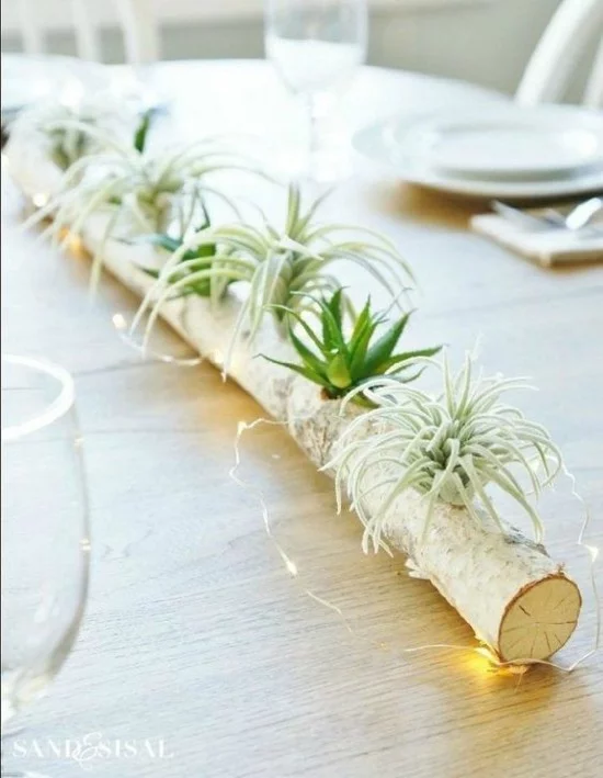 minimalistische Tischdeko aus Baumast und Luftpflanzen mit Lichterkette