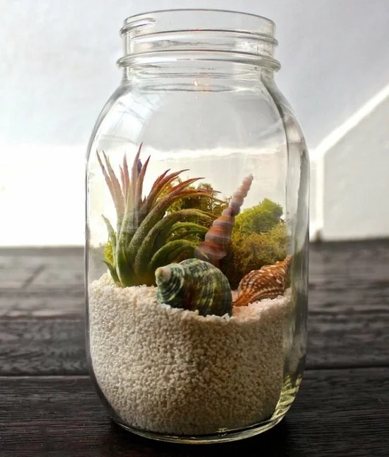 Mini-Terrarium aus Glas voller Tillandsien, Muscheln und Sand