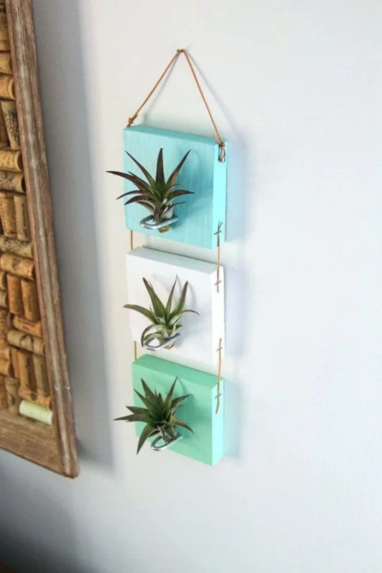 quadratische Wanddeko mit drei Luftpflanzen 
