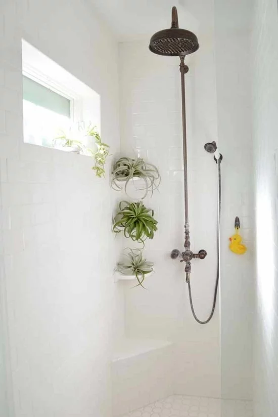 frische Deko fürs Badezimmer mit Luftpflanzen 