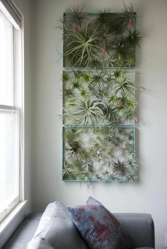 vertikaler Garten aus Luftpflanzen als DIY Wanddeko 