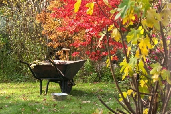 Garten im Herbst Was jetzt zu tun ist schubkarre im herbstgarten