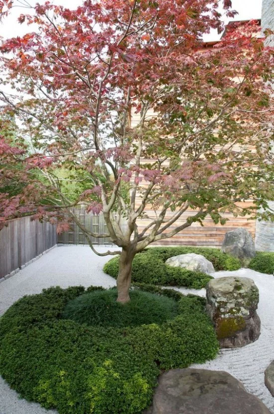 Japanischer Garten hohe Ästhetik visuelle Harmonie japanischer Ahorn grüne Sträucher sehr ansprechendes Bild