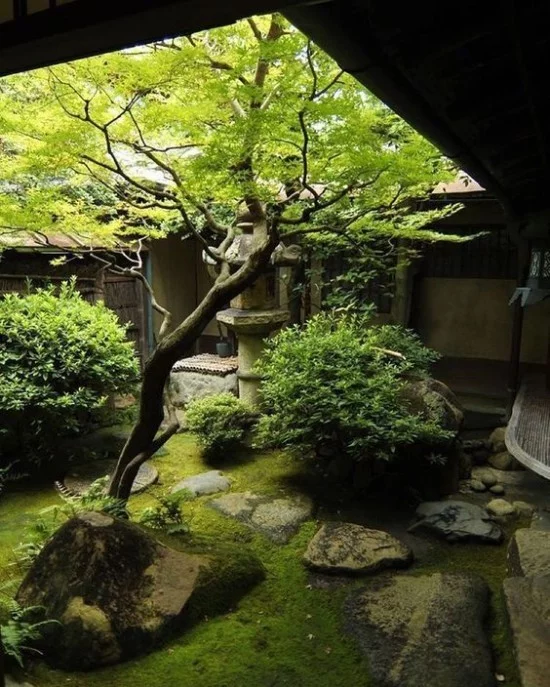 Japanischer Garten im Hinterhof Moos Steine Baum grüne Sträucher