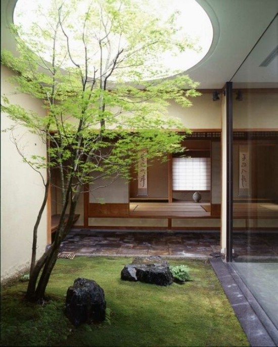 Japanischer Garten im Hinterhof hohe Ästhetik visuelle Harmonie Steine Moos Baum Glaswand