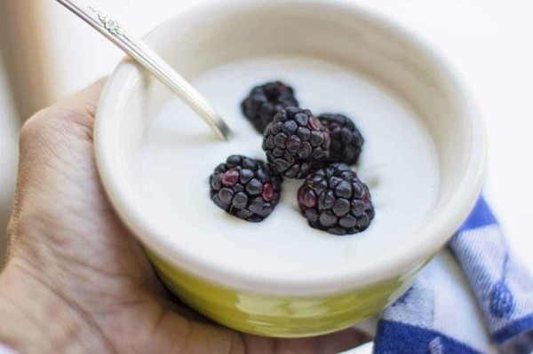 Kefir gesund Frühstück probiotische Lebensmittel Kefirpilze