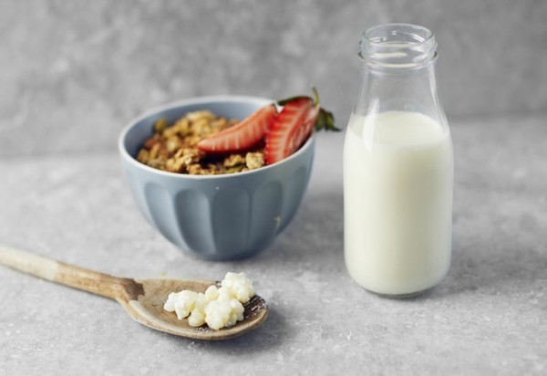Kefir gesund Milchgetränk Milchkefir probiotische Lebensmittel Kefirpilze