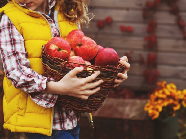 So kommen Sie gesund durch den Herbst Äpfel Obst und Gemüse