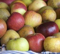 Alte Apfelsorten – gesund und gut verträglich auch für Allergiker