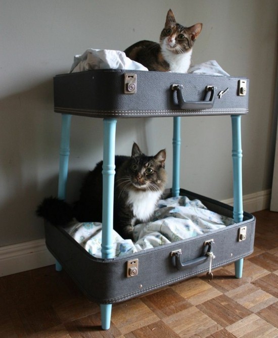 etagenbett für katzen bauen aus alt mach neu